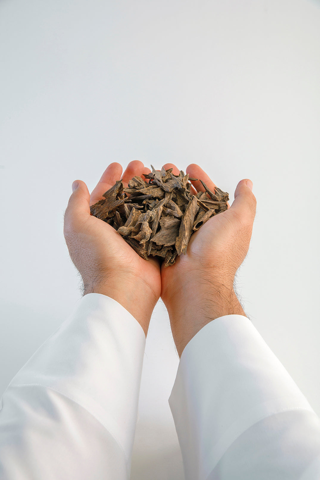 عود موري حار